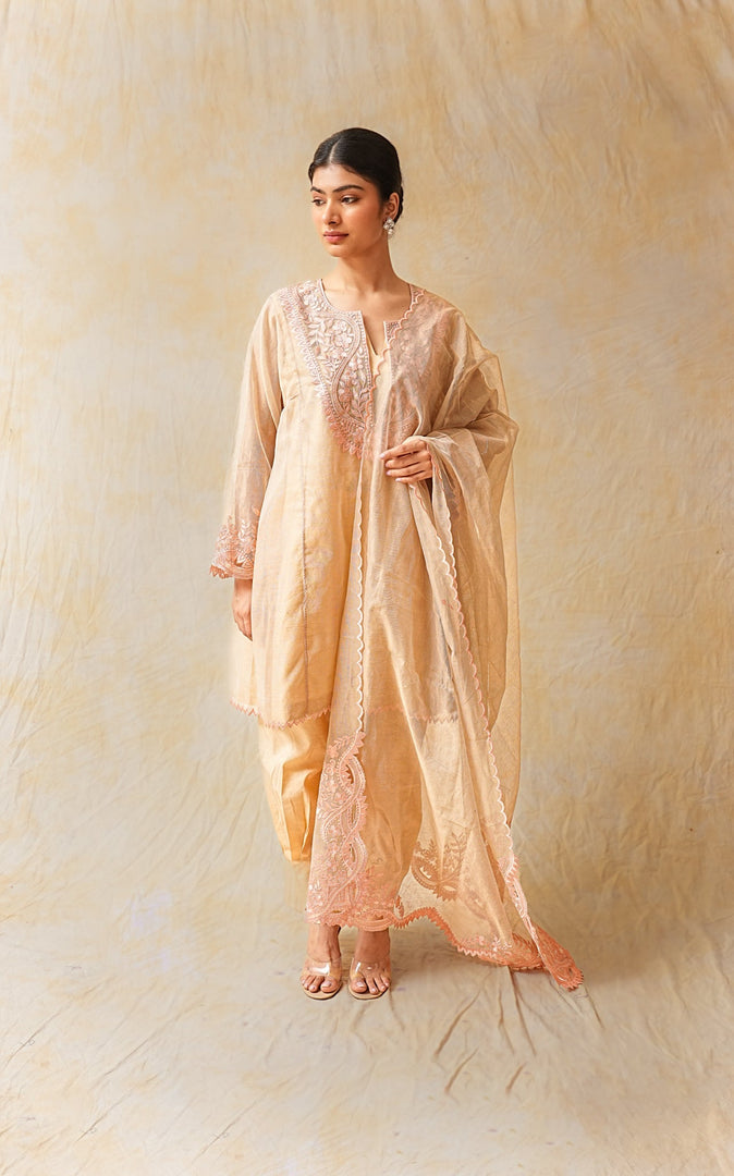 Light Peack A Line Salwar Suit