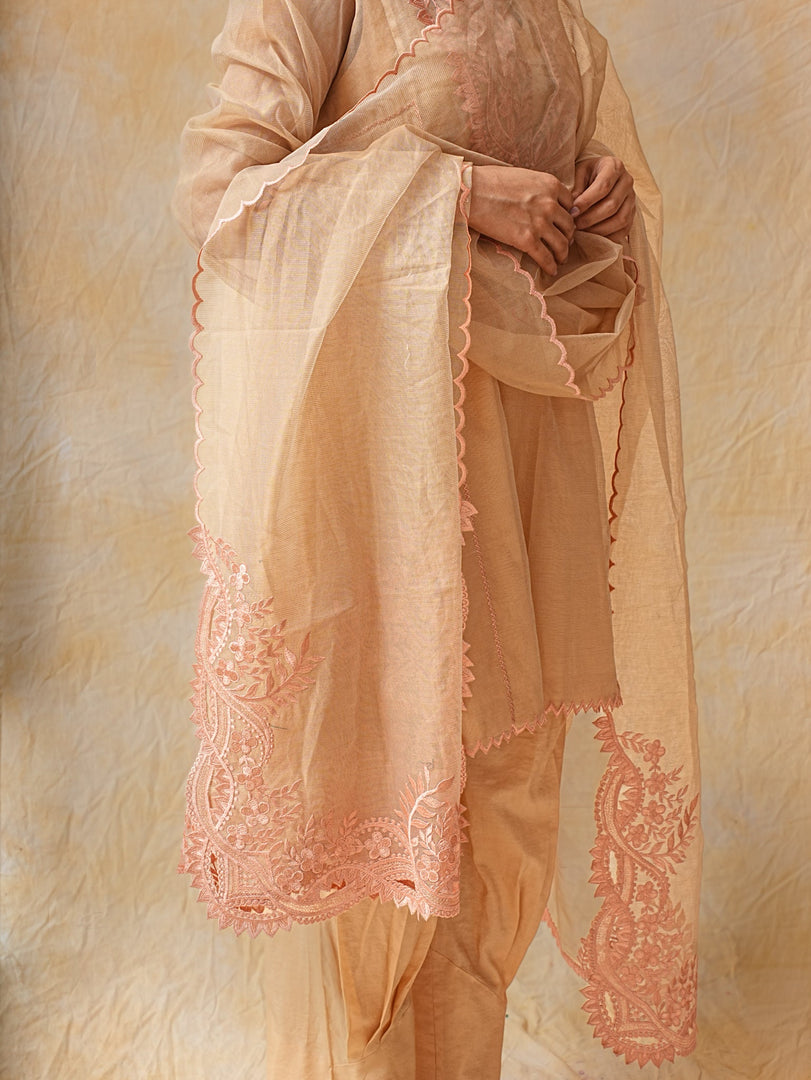 Light Peack A Line Salwar Suit