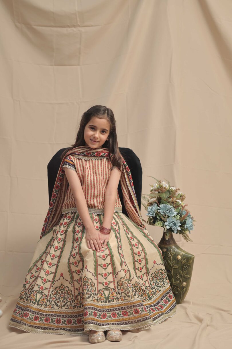 Noormahal Lehnga - Image 4