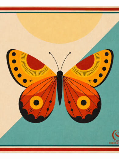 butterfly print scarf,